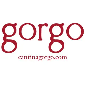 gorgo